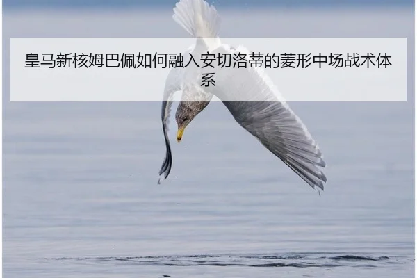 huang-ma-xin-he-mu-ba-pei-ru-he-rong-ru-an-qie-luo-di-de-ling-xing-zhong-chang-zhan-shu-ti-xi-2-204.jpg