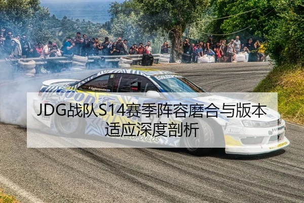 JDG战队S14赛季阵容磨合与版本适应深度剖析